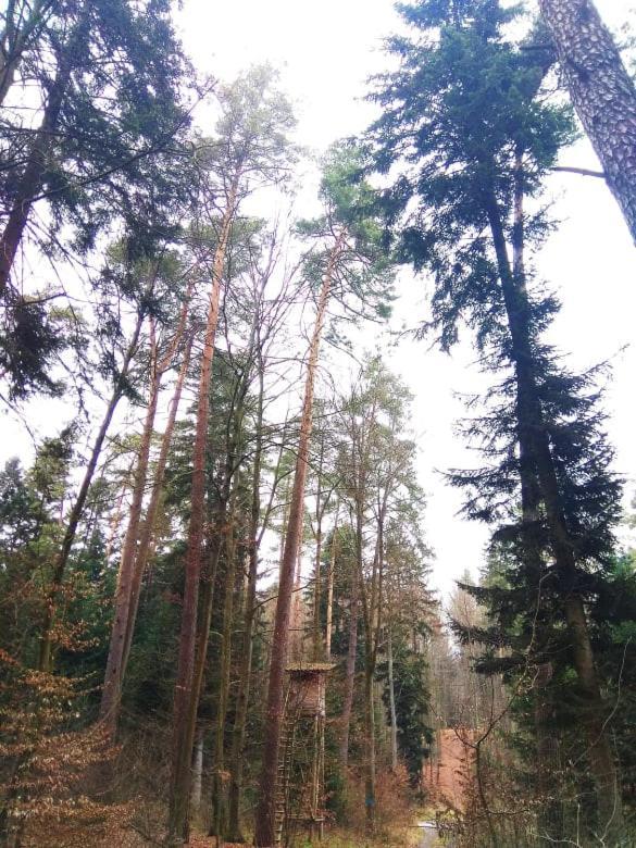 Ulęgałki Roztocze Adamow  Zewnętrze zdjęcie